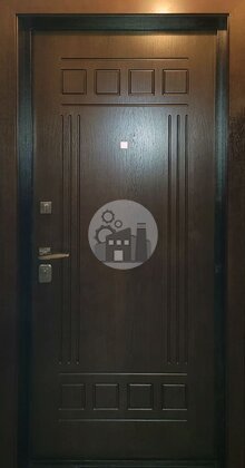 Фотографии дверей в квартиру